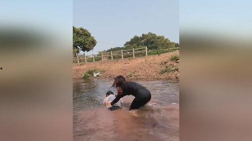 搞笑视频过河,搞笑视频带你轻松过河